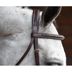 KL Select Italia Middleburg Hunter Bridle -Equestrian Supply Store 111101 03 KL Italia Brown Browband