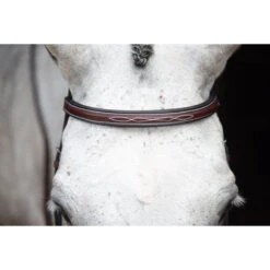 KL Select Italia Middleburg Hunter Bridle -Equestrian Supply Store 111101 03 KL Italia Brown Browband.Front