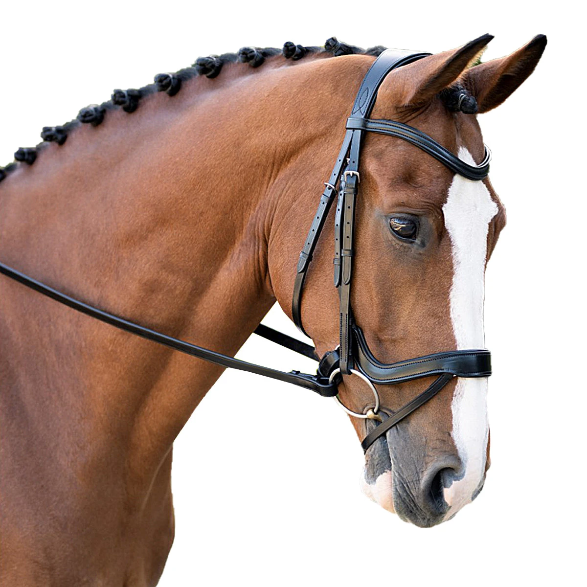 Black Oak Palm Ergonomic Dressage Bridle 1 Black Oak Palm Ergonomic Dressage Bridle