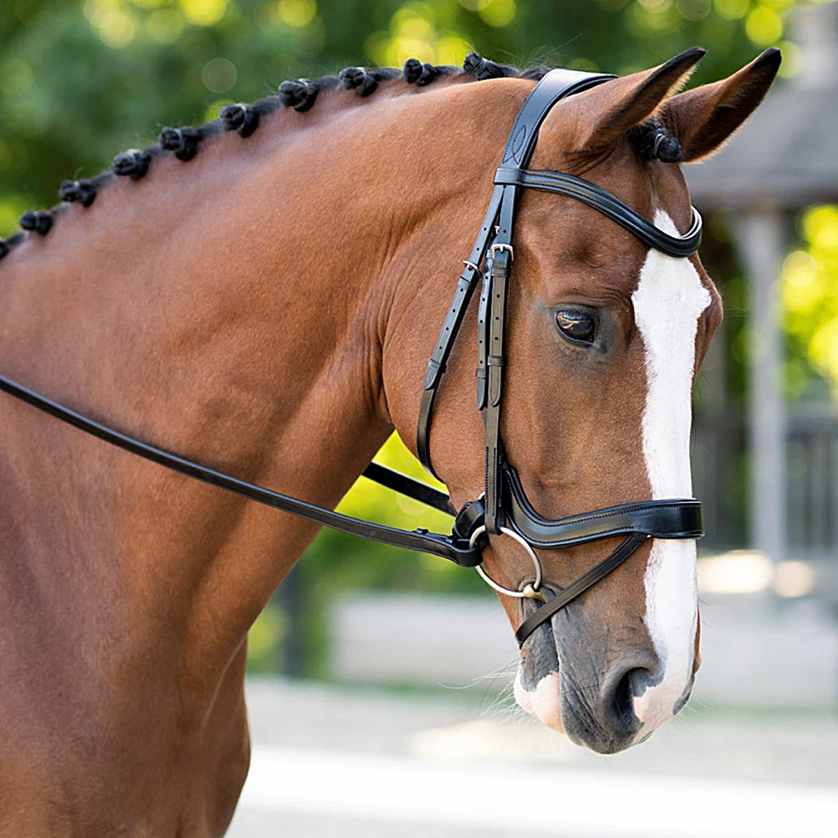 Black Oak Palm Ergonomic Dressage Bridle 2 Black Oak Palm Ergonomic Dressage Bridle - Image 2