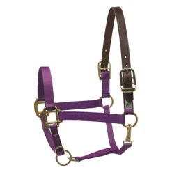Perri's Economy Safety Halter 9 Perri's Economy Safety Halter -Equestrian Supply Store 150PPU Perris Economy.Safety.Halter Purple