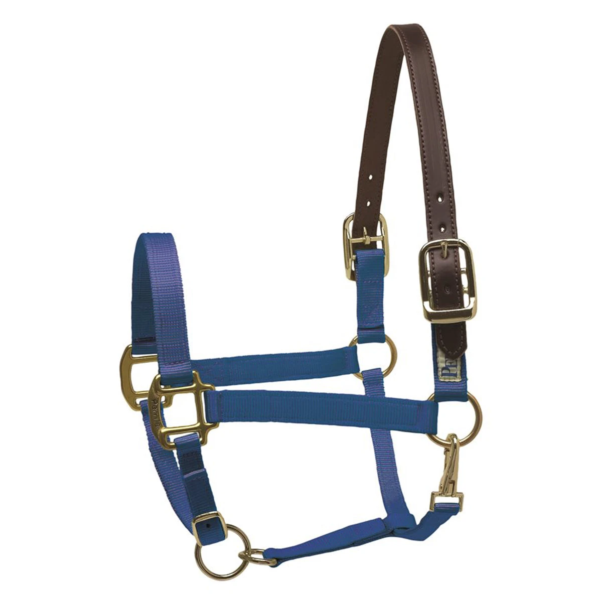 Perri's Economy Safety Halter 5 Perri's Economy Safety Halter - Image 5