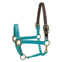 Perri's Economy Safety Halter 11 Perri's Economy Safety Halter -Equestrian Supply Store 150PTU Perris Economy.Safety.Halter Turquoise