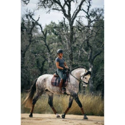 Sixteen Cypress Dressage Pad -Equestrian Supply Store 16C DP FP C 16Cypress Dressage.Pad Field.Plaid .Cognac Lifestyle