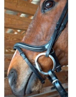 Nunn Finer A Forma Di Shaped Bridle -Equestrian Supply Store 2 30964.1524843942.1280.1280