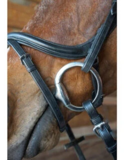 Nunn Finer A Forma Di Shaped Bridle -Equestrian Supply Store 3 25542.1524843942.1280.1280