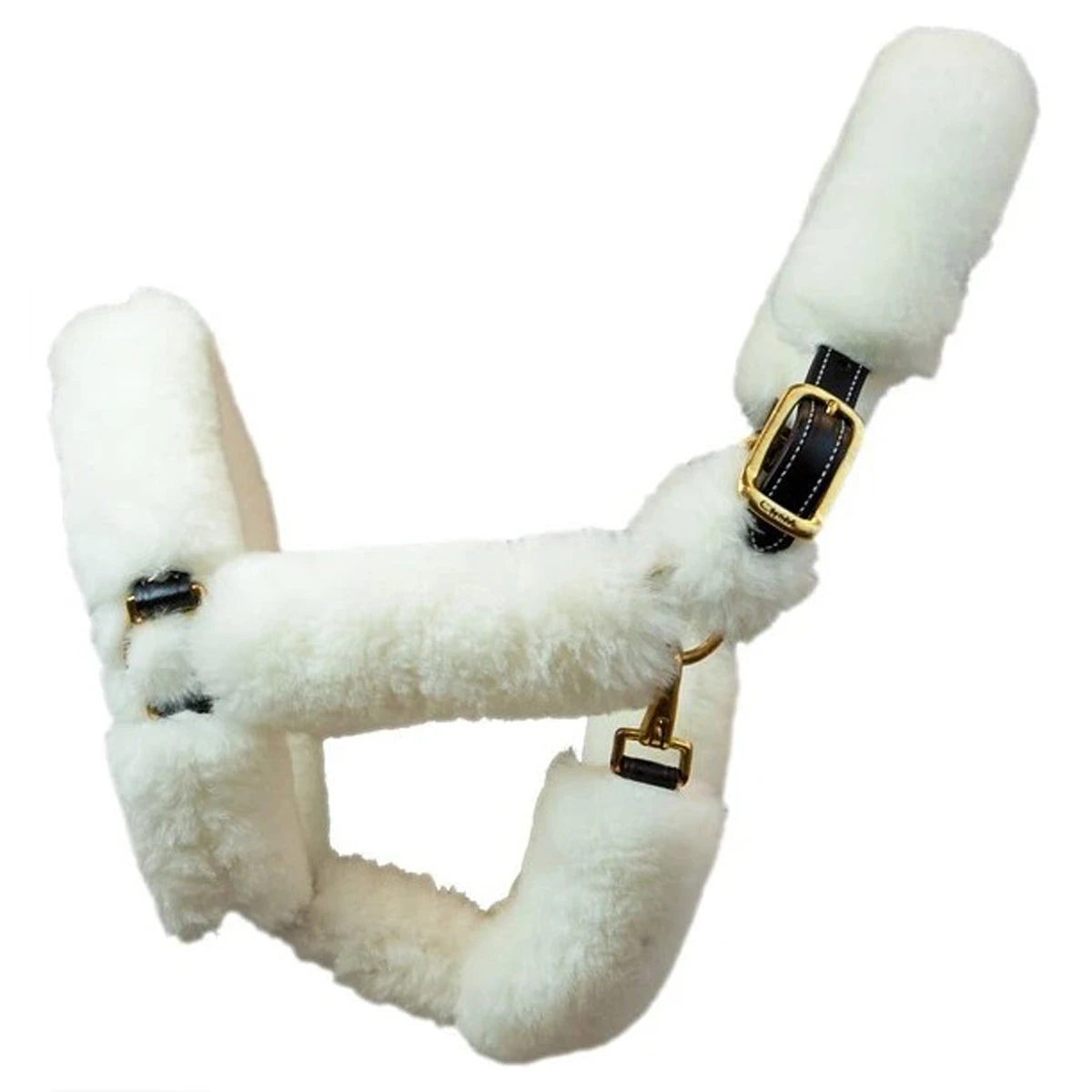 Walsh Shipping Halter 1 Walsh Shipping Halter