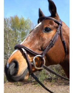 Nunn Finer A Forma Di Shaped Bridle -Equestrian Supply Store 5 07638.1524843942.1280.1280