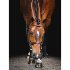 Equiline Scott Stewart Hunter Bridle -Equestrian Supply Store BJ150 EQline Scott.Stewart.Hunter.Bridle Brown IRL