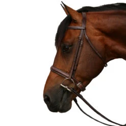 Equiline Scott Stewart Hunter Bridle -Equestrian Supply Store BJ150 EQline Scott.Stewart.Hunter.Bridle Brown Side