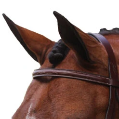 Equiline Scott Stewart Hunter Bridle -Equestrian Supply Store BJ150 EQline Scott.Stewart.Hunter.Bridle Brown Top