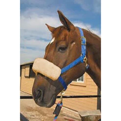 ECP Halter Fleece Noseband Cover -Equestrian Supply Store ECP halter.fleece.noseband.cover HP 5N 07 cream