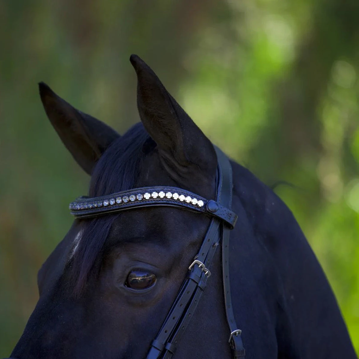 Halter Ego Doc Marten Snaffle Bridle 4 Halter Ego Doc Marten Snaffle Bridle - Image 4