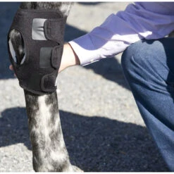 Ice Horse Hock Wrap -Equestrian Supply Store IH7500V MacKinnon Hock.Wraps2