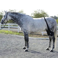 Ice Horse Stifle Wrap -Equestrian Supply Store IHF9000V MacKinnon Hock.Wraps2