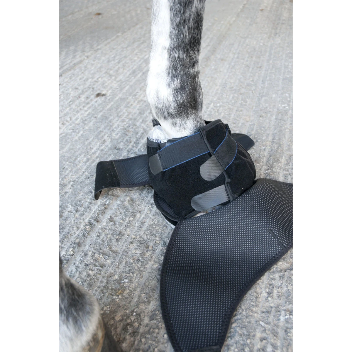 Ice Horse Hoof Ice Boot 9 Ice Horse Hoof Ice Boot - Image 9