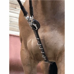 Jump'in Patrick Training Aid -Equestrian Supply Store JI ENP 3