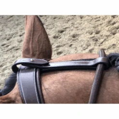 Jump'in Patrick Training Aid -Equestrian Supply Store JI ENP 4