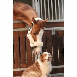 Jump'in Soft Halter - One Collection -Equestrian Supply Store JI LOM beige4