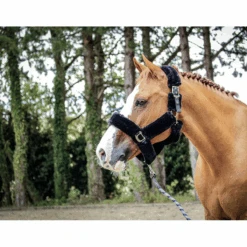 Jump'in Soft Halter - One Collection -Equestrian Supply Store JI LOM blk1