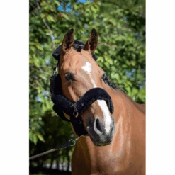 Jump'in Soft Halter - One Collection -Equestrian Supply Store JI LOM blk2