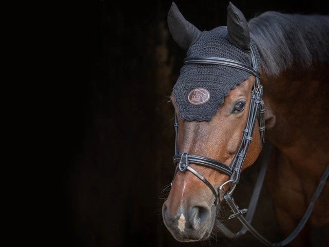 Jump'in Tuesday Bridle - Week Collection 2 Jump'in Tuesday Bridle - Week Collection - Image 2