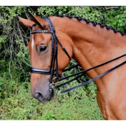 Red Barn By KL Select Cadence Weymouth Dressage Bridle -Equestrian Supply Store KL.Select Cadence.Weymouth