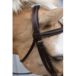 Red Barn By KL Select Icon Hunter Bridle -Equestrian Supply Store KL.Select Icon.Bridle Detail