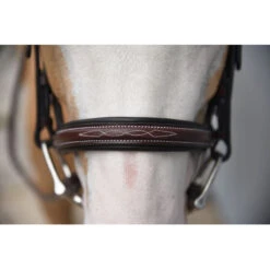 Red Barn By KL Select Icon Hunter Bridle -Equestrian Supply Store KL.Select Icon.Bridle Detail.2