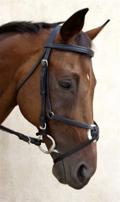 Nunn Finer Fair Hill Figure 8 Bridle 8 Nunn Finer Fair Hill Figure 8 Bridle -Equestrian Supply Store NF8EB 6T