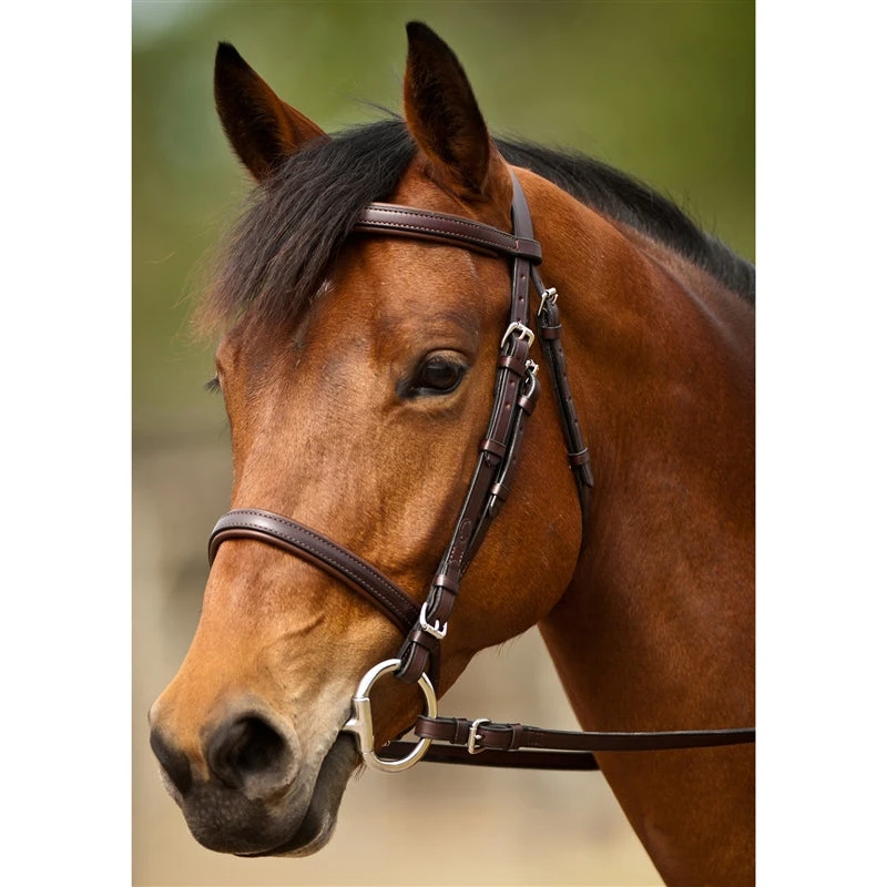 Nunn Finer Event Bridle 1 Nunn Finer Event Bridle