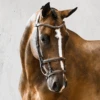 PS Of Sweden Paris Bridle