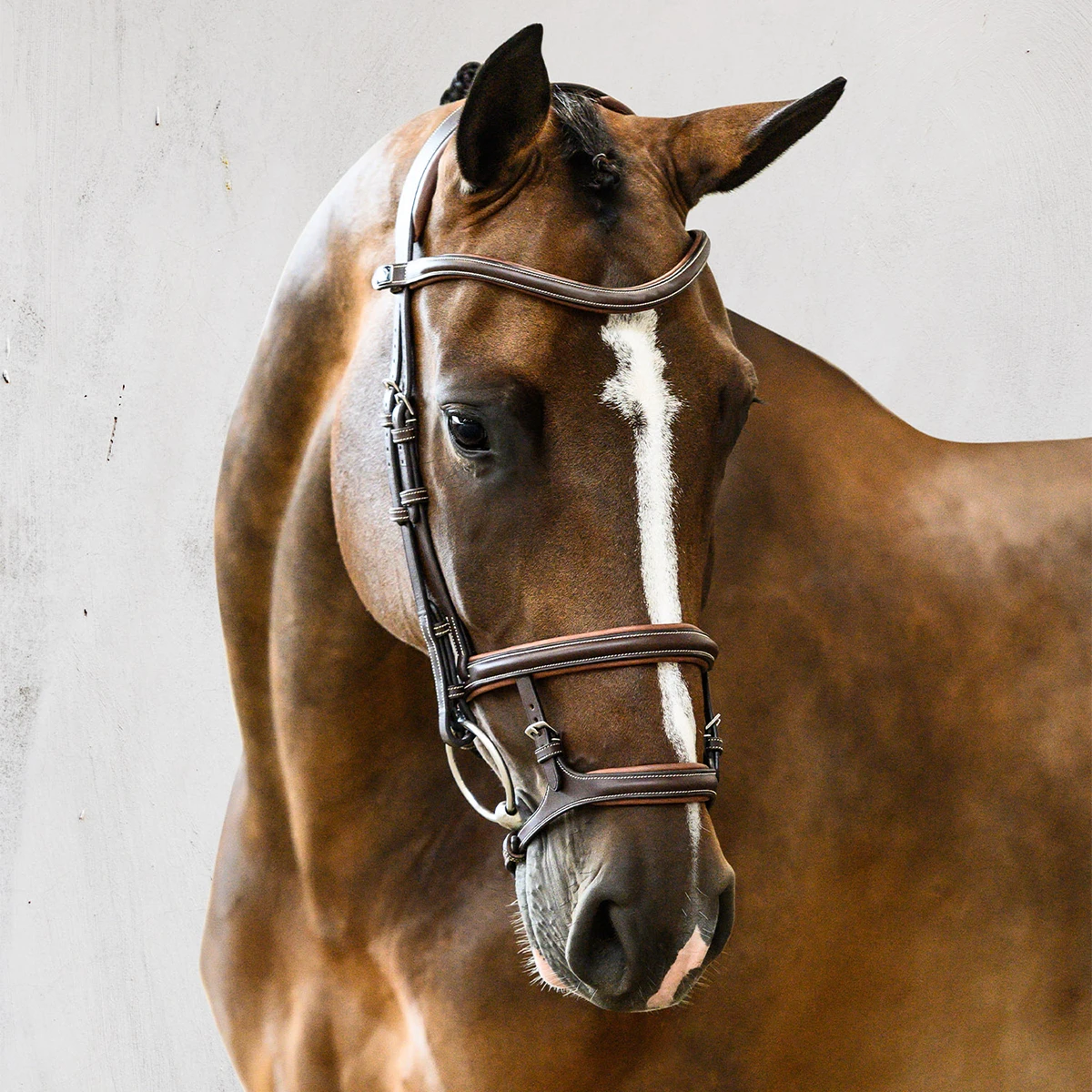 PS Of Sweden Paris Bridle 1 PS Of Sweden Paris Bridle