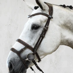 PS Of Sweden Paris Bridle 5 PS Of Sweden Paris Bridle -Equestrian Supply Store PS Paris Brn3