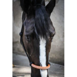 Jump'in Penelope American Rope Halter -Equestrian Supply Store Pen AmericanRope 2