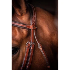 Penelope US Bridle -Equestrian Supply Store Pen US 3