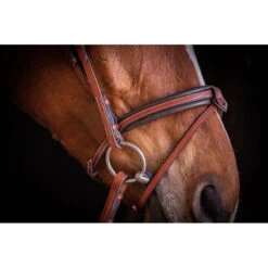 Penelope US Bridle -Equestrian Supply Store Pen Us 2