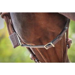 Penelope Ethological Halter -Equestrian Supply Store Penelope Ethological.Halter.5