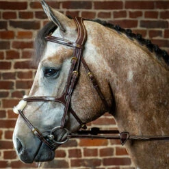Dyon Fancy Figure 8 Bridle - D Collection