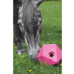 Shires Ball Feeder -Equestrian Supply Store Shires 9640 Ball.Feeder Pink 59ca4bec 2974 4a72 8b8d 94126b826150