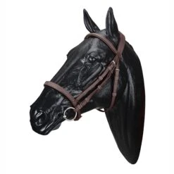 Wintec English Bridle -Equestrian Supply Store WABRIDCBRN