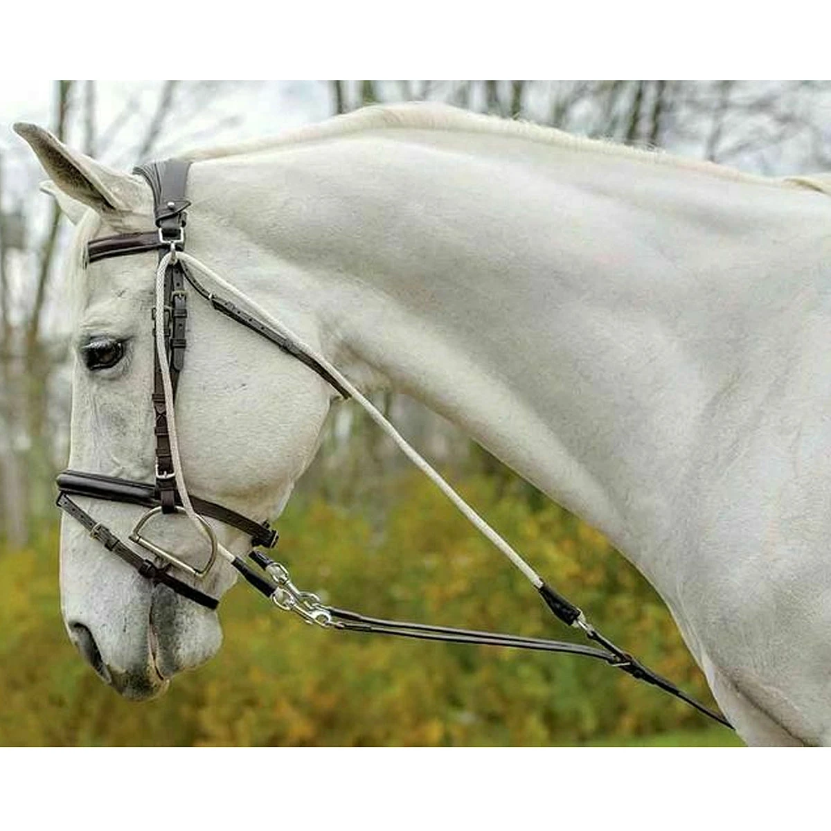 Avignon De Gogue Training Aid 1 Avignon De Gogue Training Aid