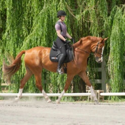 Kerrits Women's Crossover II Full Seat Breech -Equestrian Supply Store black3 68735.1581518814.1280.1280 ee0169b4 275f 4e97 9c76 48ce457233a0