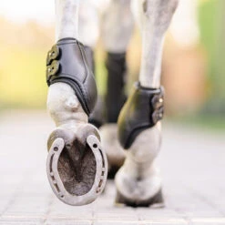 EquiFit Eq-Teq Hind Boot -Equestrian Supply Store boots2 27406adf dcf7 4644 b134 b0e8f1c65bf4