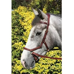Horseware Rambo Micklem Multibridle 21 Horseware Rambo Micklem Multibridle -Equestrian Supply Store bridle10 cf44038a 6c56 4d81 9380 7b1cf4d1ed34