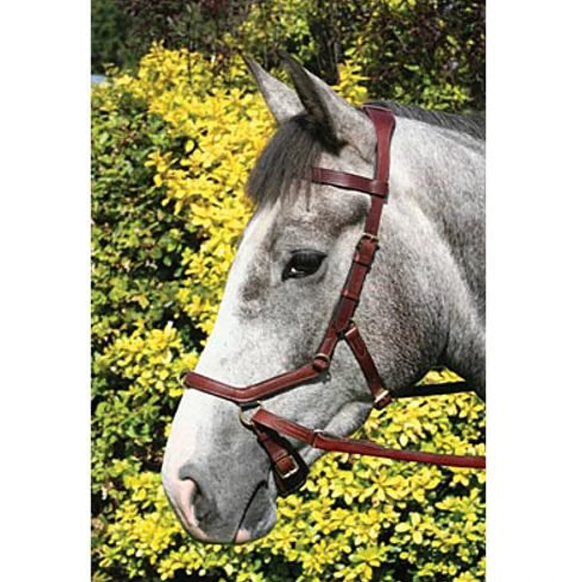 Horseware Rambo Micklem Multibridle 10 Horseware Rambo Micklem Multibridle - Image 10