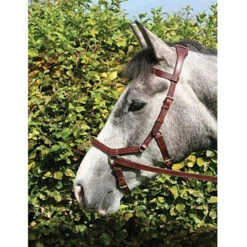 Horseware Rambo Micklem Multibridle 22 Horseware Rambo Micklem Multibridle -Equestrian Supply Store bridle11