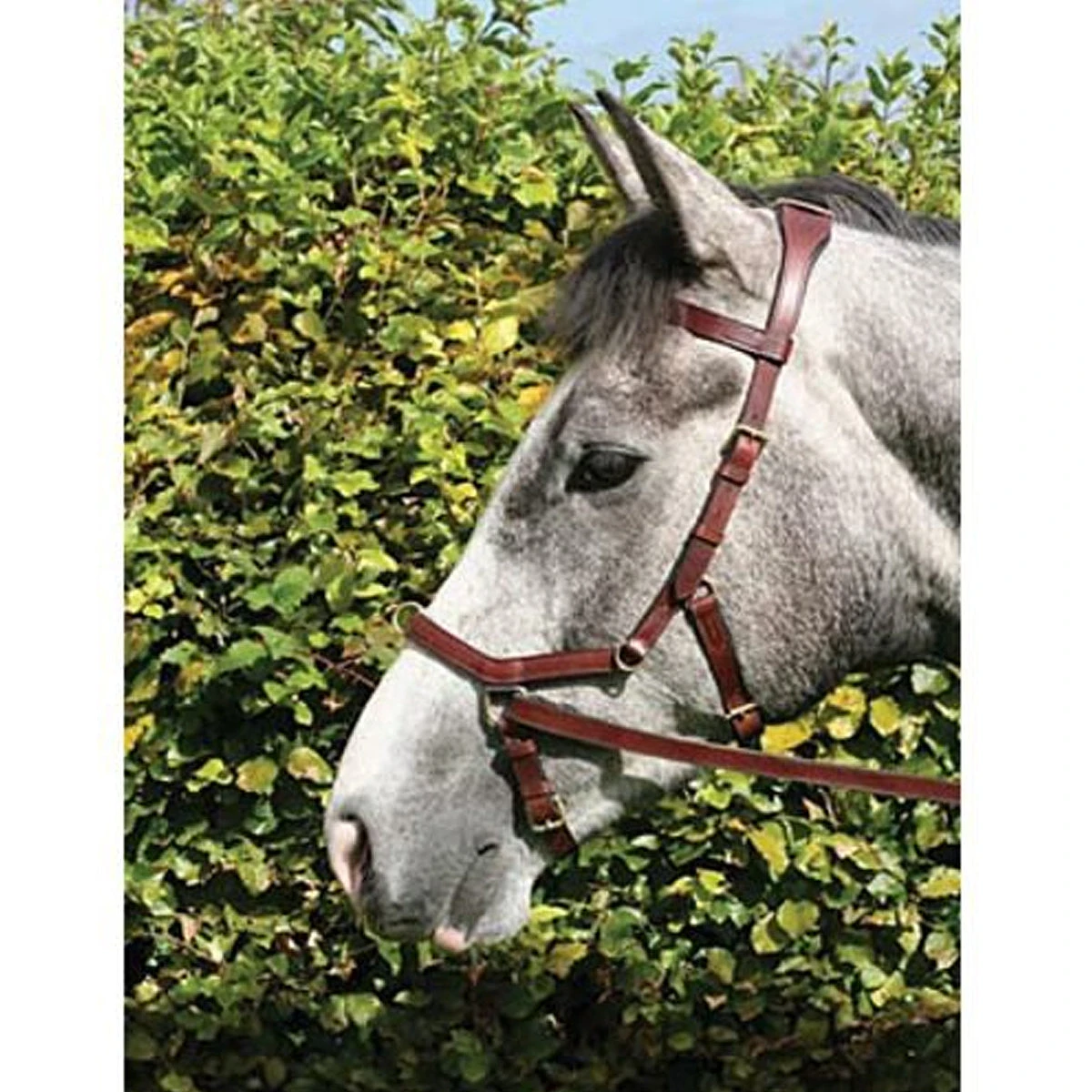 Horseware Rambo Micklem Multibridle 11 Horseware Rambo Micklem Multibridle - Image 11