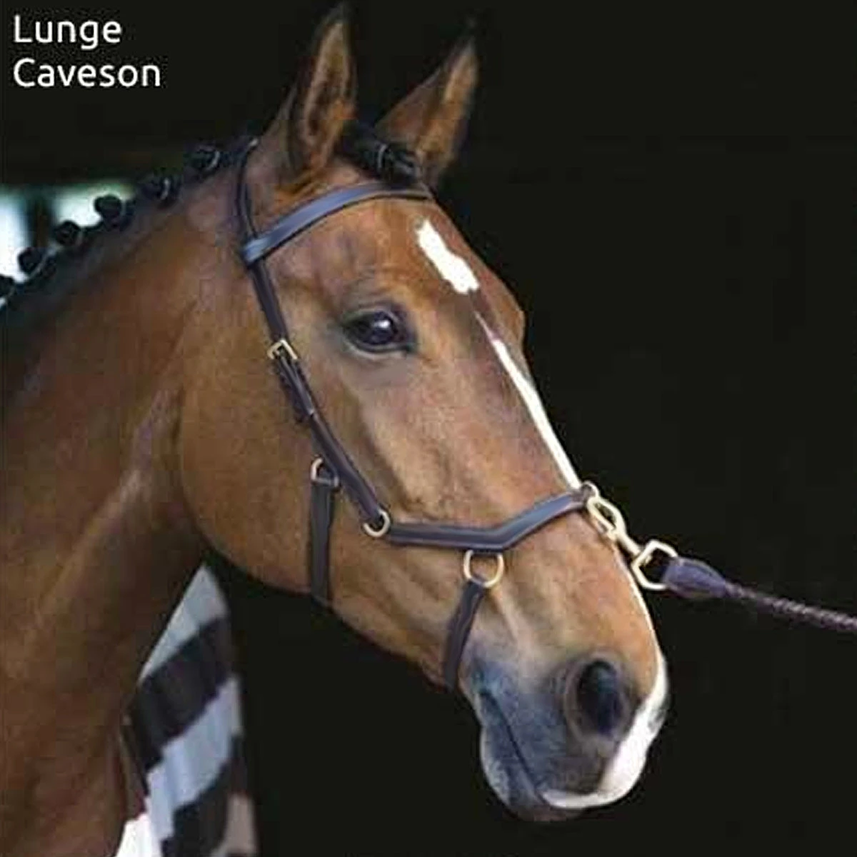 Horseware Rambo Micklem Multibridle 3 Horseware Rambo Micklem Multibridle - Image 3