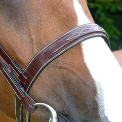 Dy'on Fancy Stitch Wide Noseband Bridle -Equestrian Supply Store bridle2 1e4663ab 884f 4b7d 80a6 469c5399f8c7
